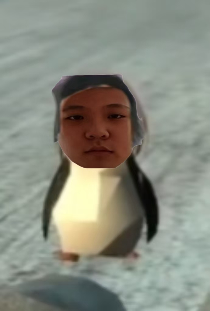 微信图片_20260203122634